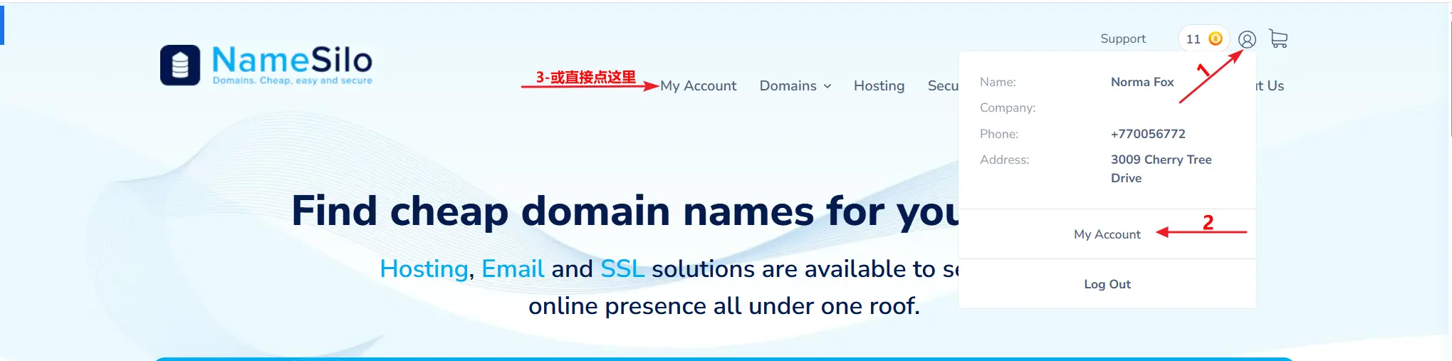 ns-email002.webp