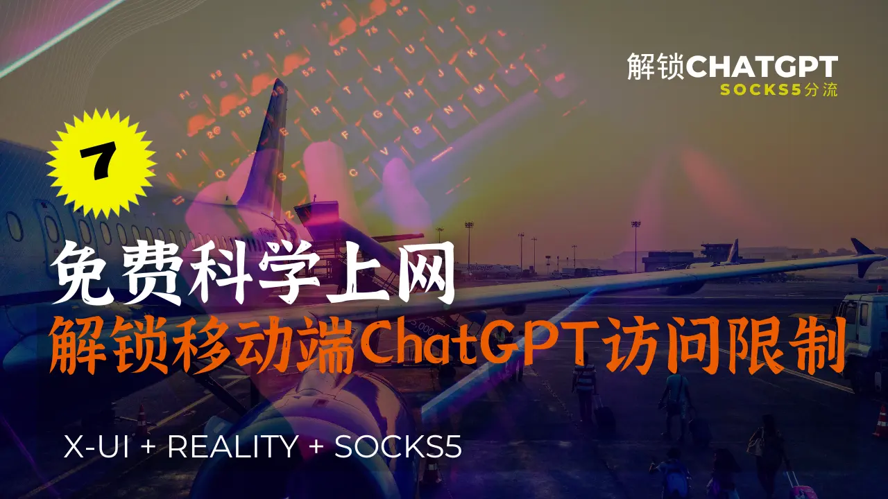[免费科学上网-7] Xui+Reality下Socks5分流设置