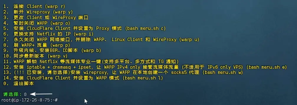 warp 017.webp
